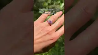 When your engagement ring looks like a real flower and attracts butterflies #albrechtjewelry #ring