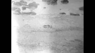 Porya Hatami - 