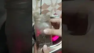 মিয়াকো চুলা #viralvideo #foryou #youtubevideo #tea 