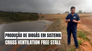 Biodigestor em Sistema Cross Ventilation Free Stall: Efici&ecirc;ncia e Qualidade na Produ&ccedil;&atilde;o de Biog&aacute;s!