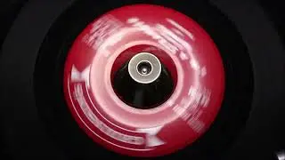 Ella Thomas   I'm A Stranger   GEDINSONS