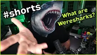 What is a Wereshark in D&D?