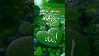 Surah Tareem# Urdu translation# trending #Islamic status#bayan #duet