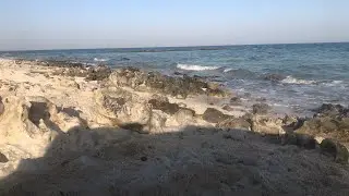 A trip to Dukhan beach Qatar - seashells