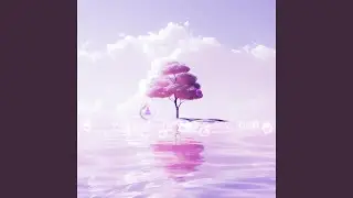 Floating Lantern Thoughts