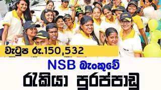 NSB Job Vacancies 2023 | National Savings Bank Jobs | Job Vacancies in Sri Lanka