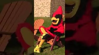 National Mascot Day