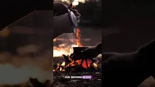 🔥 How Fire Made Us Human #shorts