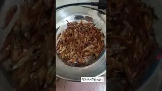 Tea leaf salad with fried dried anchovies and corn #tealeaf #salad #anchovies #corn #deliciousfood