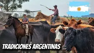 DOS días CAPANDO los TERNEROS y ARREANDO las VACAS a CABALLO 🇦🇷 (CASTRANDO/YERRA)
