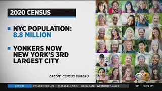 2020 Census Data Released