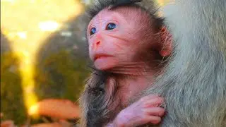 Congratulation Elsa Just Gave Birth To Baby Girl Elma Moment