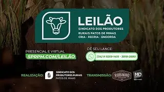 LEILÃO DE CORTE -  SINDICATO DOS PRODUTORES RURAIS DE PATOS DE MINAS 06/01/2025