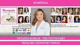 Momipedia: The Tooth Fairy | At What Age to Start Dentist Appointments | Dr. Elana Rumack