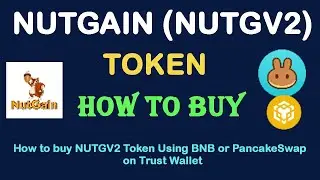 How to Buy NUTGAIN Token (NUTGV2) Using BNB or PancakeSwap On Trust Wallet