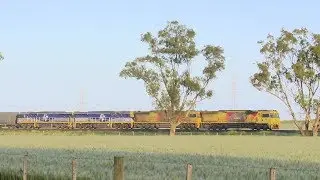 Aurizon PM1 with CFCLA CF Class Locomotives - PoathTV Australian Trains & Railways