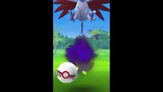Catching  shadow skarmory