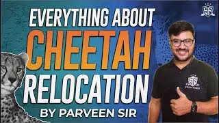 Cheetah Relocation in India: The Untold Story I Current Affairs for CDS I CAPF I NDA 2023