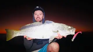 Catching School Jewfish in the wash On Soft Plastics.