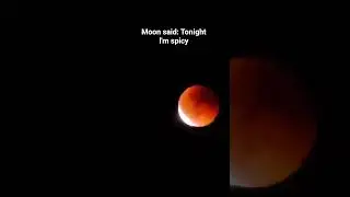 Mesmerizing Moon Timelapse I Nature's Night Show #moontimelapse #timelapse #alivedreamz #trending