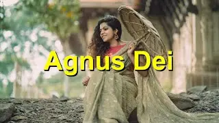 🌟 Agnus Dei - Halleluja (Svenska) - Karaoke Fl&ouml;jt Instrumental Michael W. Smith V1