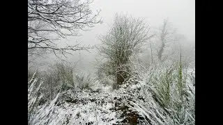 Viva la montaña, viva