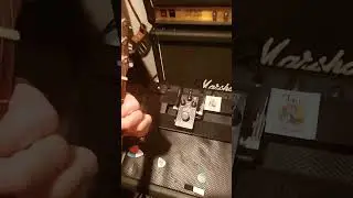 MXR Reverb with acoustic.  #acousticguitar #bassmodulators #guitarpedals