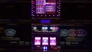 $350 winner. West Wendover, Nevada at the Rainbow casino.