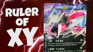 How Yveltal EX Reigned Over the XY Era