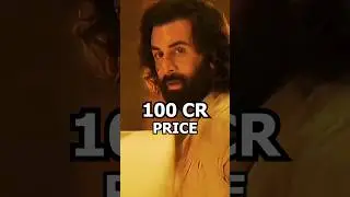 Animal Movie ACTOR FEES Revealed 🤯 #shorts #movie #animal
