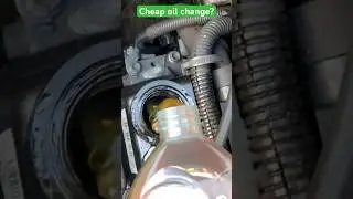 Растительное масло в качестве моторного масла?