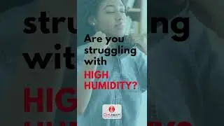 Dehumidifier for Palm Jumeirah and Dubai Marina. #dehumidifier For #humiditycontrol