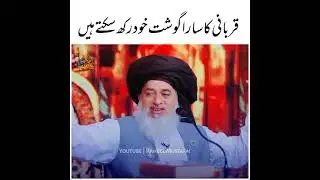 Rizvi Media live