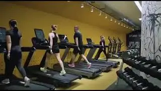 LFITNESS - Фитнес-клуб премиум класса в самом центре Владимира