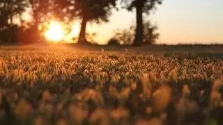 Chillstep Dawn Vol. 1