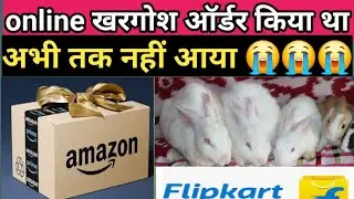 online rabbit order  / rabbit sale home delivery  / Khargosh kahan se khride