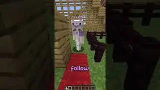 Minecraft But Its Six Flags🌊