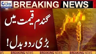 Big Change In Wheat Price  l Breaking News l Rohi