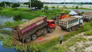Perfectly Start New Massive Task! using DumpTruck 25.5Ton Fill Land & Dozer Shantui Pushing,Mix VDO