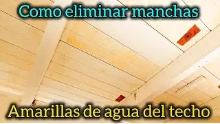 Bin primer shellac el mejor para eliminar manchas