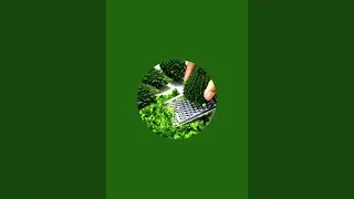 Pari Titli is live candy crush saga #live game 🎮 ply