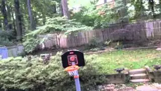 Squirrel Defense