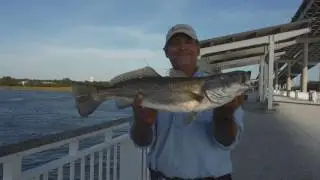 Jiggin' Jerry, Over 4 lb. Seatrout and 4 lb. Flounder Caught at MPP