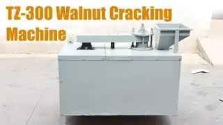 TZ-300 Walnut Shelling Machine Working Video | Small Scale Nut Cracker