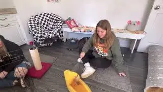 We went to a cat cafe / cat lounge in Pennsylvania 🐈&zwj;⬛🐈
