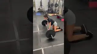 Barbell Roll Out (Abs)