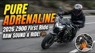 PURE ADRENALINE: 2026 Z900 Raw Sound & Ride