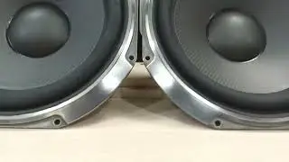 Diatone DS-77EX полировка корзин