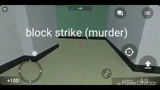 Block strike (murder)