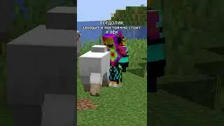 Эдит | Типы Игроков | #minecraft #shorts #perdolik #10000подписчиков #agressivfonk✅